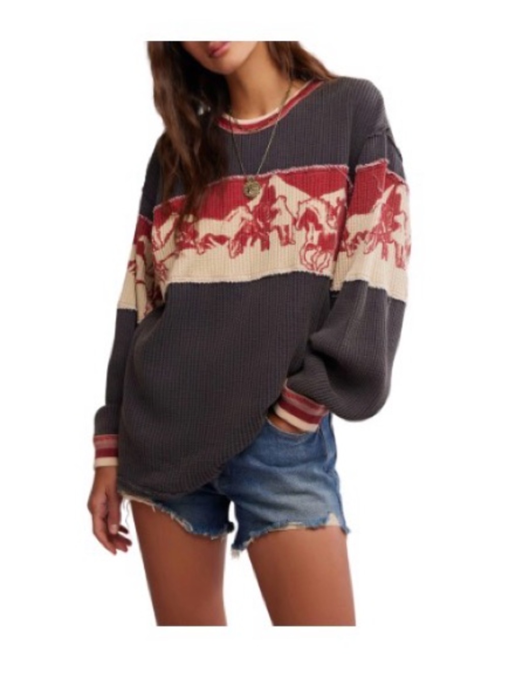 Free people long sleeve big sky waffle knit horses